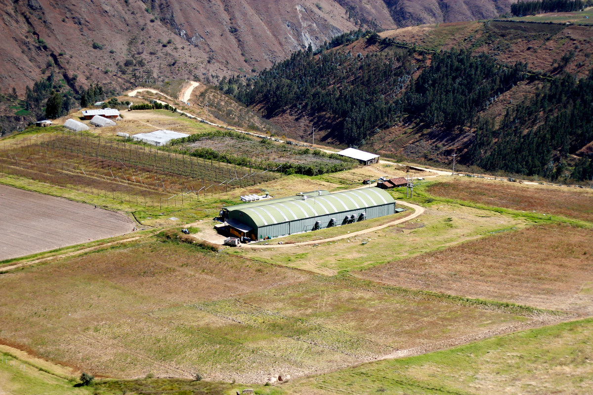 Nuestra historia – Andean Roots